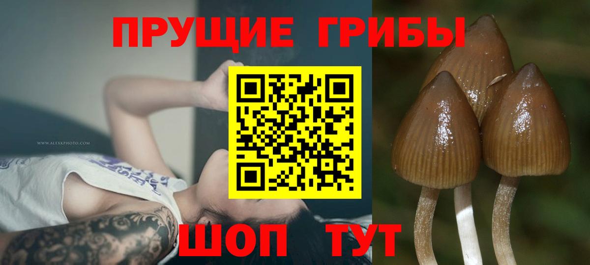 Псилоцибиновые грибы MAGIC MUSHROOMS  Вход с VPN  закладки  Кохма 